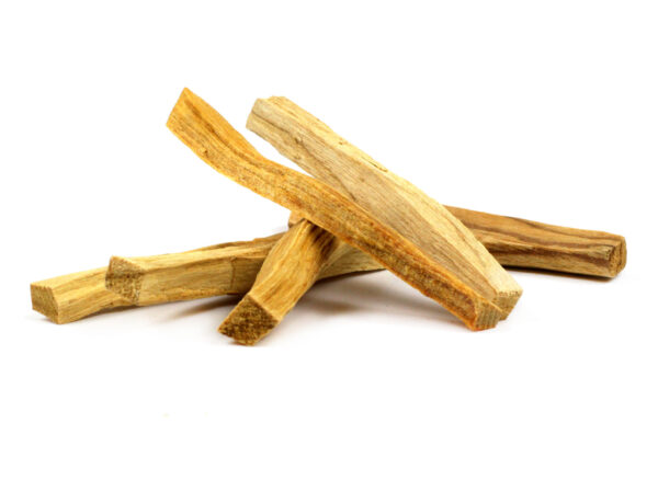 Palo_Santo_Sticks_2014__54469