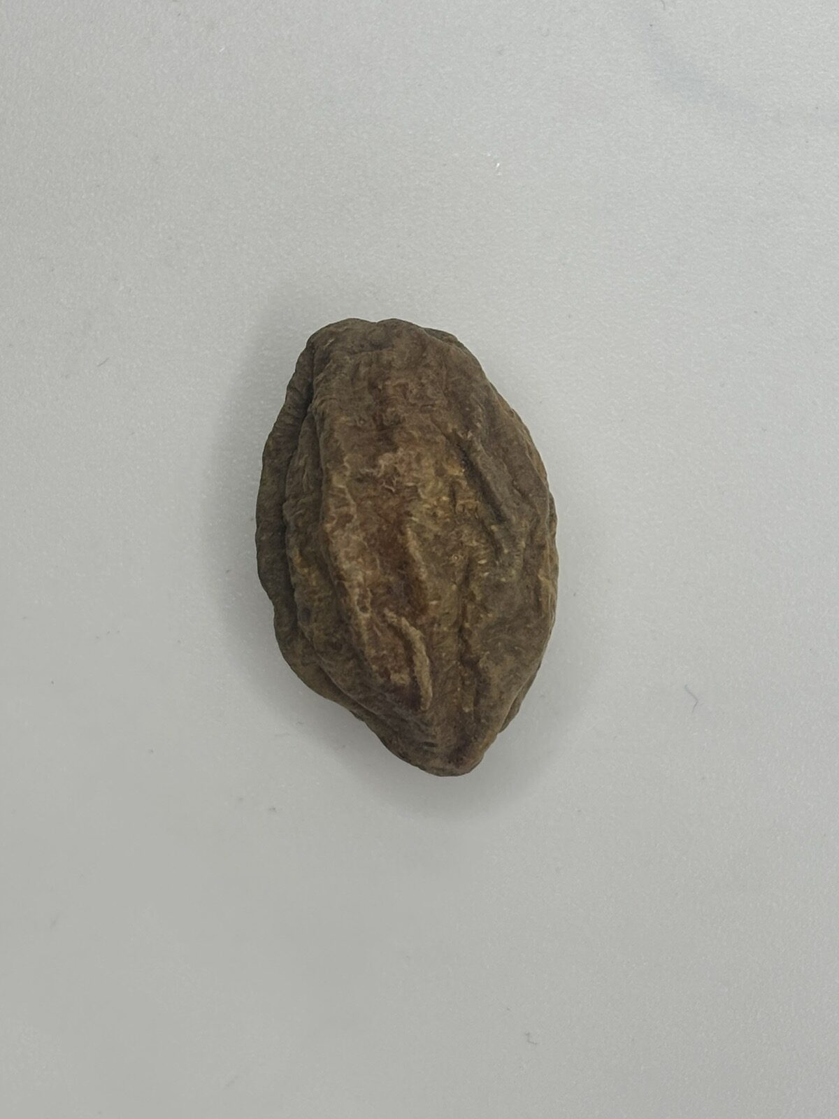 Viber image 2025 11 13 18 41 40 972