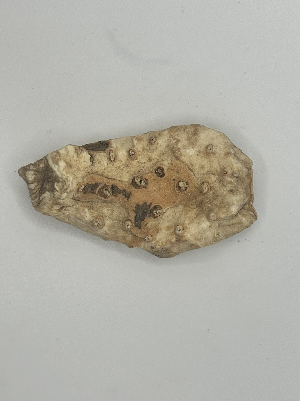 Viber image 2025 11 13 18 41 41 004