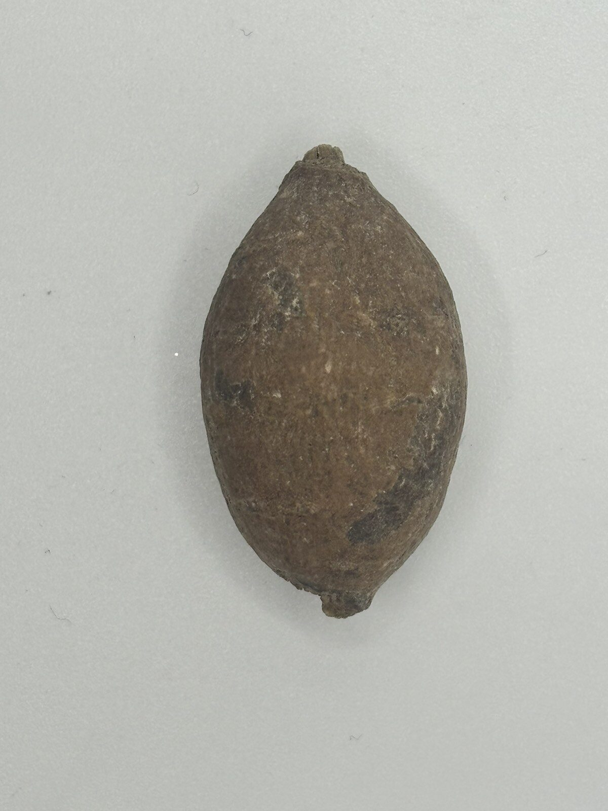 Viber image 2025 11 13 18 41 41 267