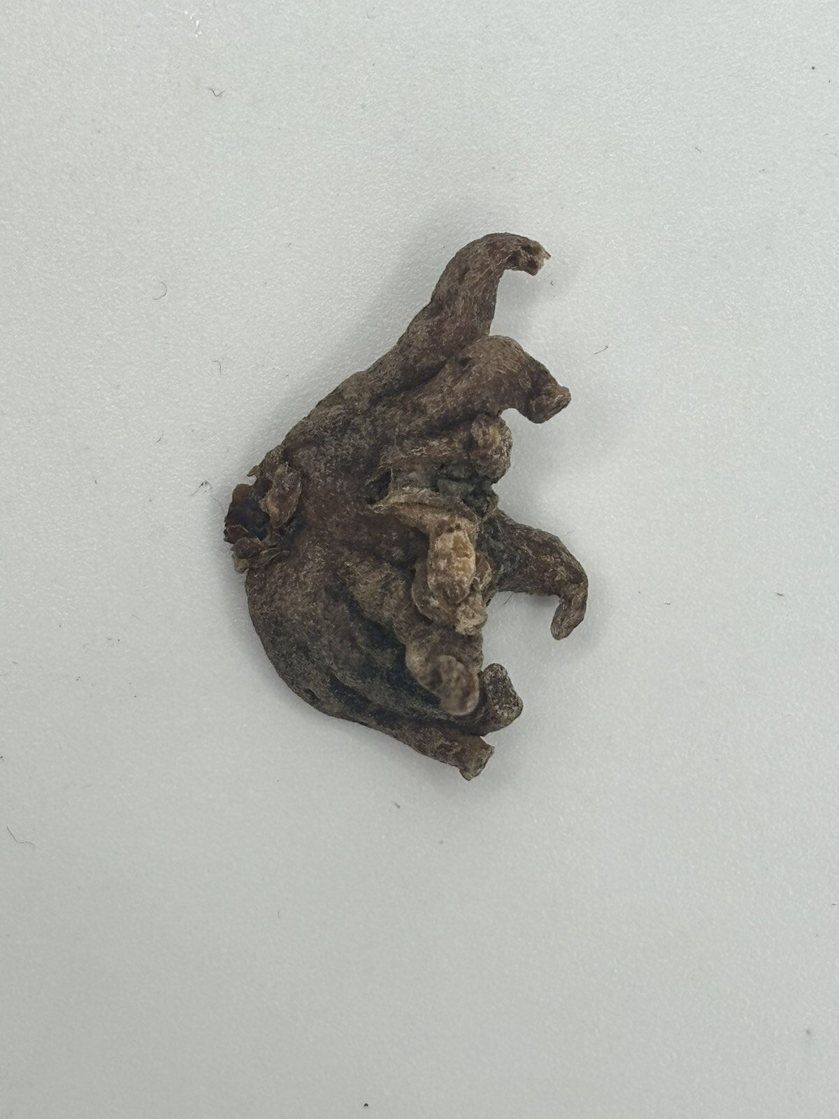 Viber image 2025 11 13 18 41 41 375